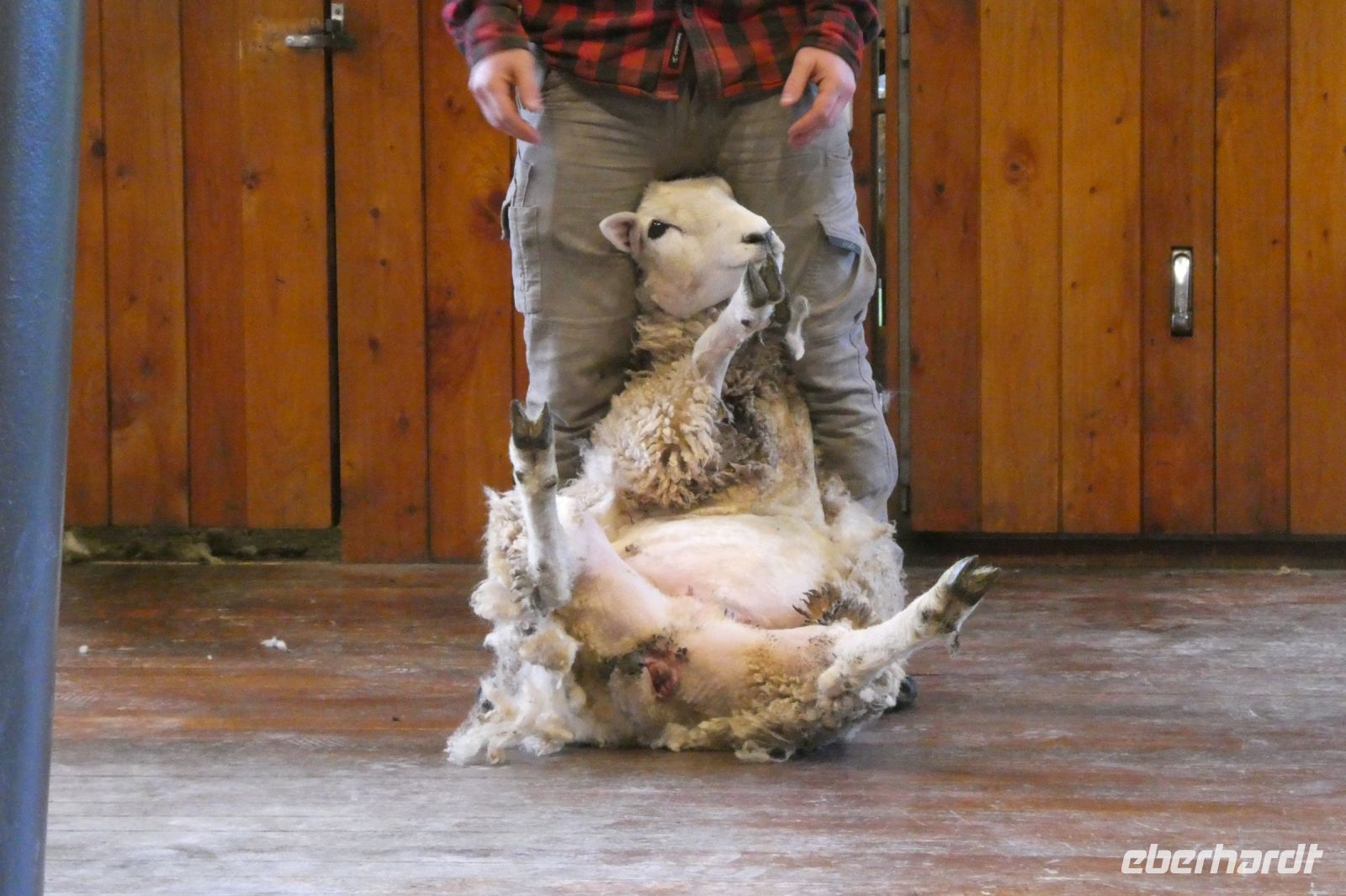 fast fertig-noch ein bisschen Geduld