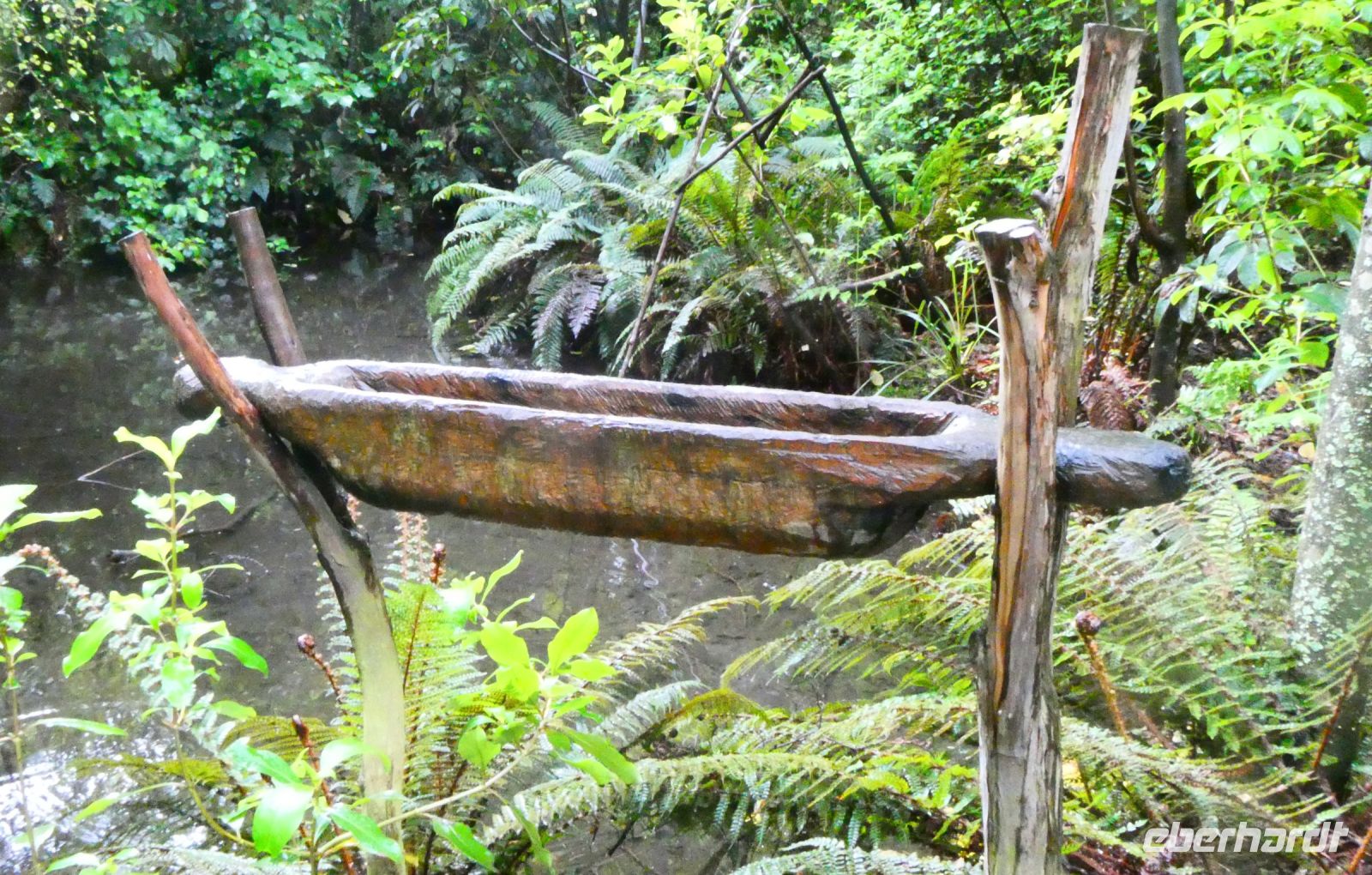 Vogeltränke als Vogelfalle