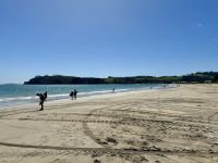 8. Reisetag – Erkundung der Coromandel-Halbinsel – Aufenthalt am Cook’s Beach