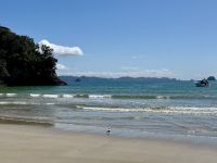 8. Reisetag – Erkundung der Coromandel-Halbinsel – Aufenthalt am Cook’s Beach