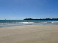8. Reisetag – Erkundung der Coromandel-Halbinsel – Aufenthalt am Cook’s Beach