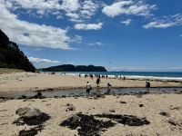 8. Reisetag – Erkundung der Coromandel-Halbinsel – Aufenthalt am Hot Water Beach