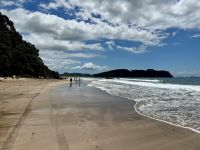 8. Reisetag – Erkundung der Coromandel-Halbinsel – Aufenthalt am Hot Water Beach