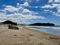 8. Reisetag – Erkundung der Coromandel-Halbinsel – Aufenthalt am Hot Water Beach