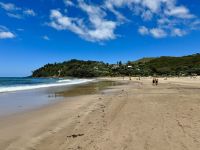 8. Reisetag – Erkundung der Coromandel-Halbinsel – Aufenthalt am Hot Water Beach