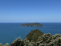 8. Reisetag – Erkundung der Coromandel-Halbinsel – Aufstieg auf den Mt Paku bei Tairua