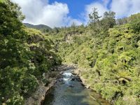 9. Reisetag – Von Pauanui nach Rotorua – Stopp an der Karangahake Gorge