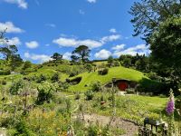 9. Reisetag – Von Pauanui nach Rotorua – Ausflug nach Hobbiton