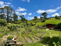 9. Reisetag – Von Pauanui nach Rotorua – Ausflug nach Hobbiton