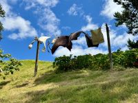 9. Reisetag – Von Pauanui nach Rotorua – Ausflug nach Hobbiton – Bilbos Wäscheleine