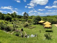 9. Reisetag – Von Pauanui nach Rotorua – Ausflug nach Hobbiton – Festwiese unterhalb von Beutelsend