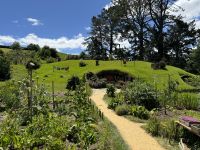 9. Reisetag – Von Pauanui nach Rotorua – Ausflug nach Hobbiton