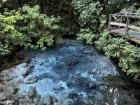 9. Reisetag – Von Pauanui nach Rotorua – Traditionelles Hangi-Abendessen in Rotorua – Wasserquelle