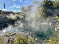 10. Reisetag – Von Rotorua zum Nationalpark – Government Gardens in Rotorua – Rachel Spring Whangapipiro