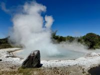 10. Reisetag – Von Rotorua zum Nationalpark – Maori-Führung durch die Wairakei Terraces & Thermal Health Spa