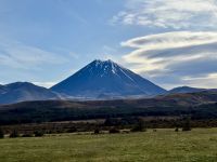 11. Reisetag – Vom Nationalpark nach Wellington – Besuch des Nationalparks – Mount Ngauruhoe