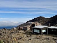 11. Reisetag – Vom Nationalpark nach Wellington – Besuch des Nationalparks – Skigebiet am Mount Ruapehu