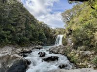 11. Reisetag – Vom Nationalpark nach Wellington – Besuch des Nationalparks – Spaziergang zu den Tawhai Falls