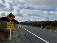 11. Reisetag – Vom Nationalpark nach Wellington – Besuch des Nationalparks – Achtung Kiwis