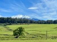 11. Reisetag – Vom Nationalpark nach Wellington – Mount Ruapehu auf der Fahrt nach Wellington