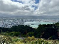 11. Reisetag – Vom Nationalpark nach Wellington – Stadtrundfahrt in Wellington – Aussichtspunkt Mount Victoria Lookout