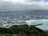 11. Reisetag – Vom Nationalpark nach Wellington – Stadtrundfahrt in Wellington – Aussichtspunkt Mount Victoria Lookout