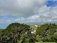 11. Reisetag – Vom Nationalpark nach Wellington – Stadtrundfahrt in Wellington – Aussichtspunkt Mount Victoria Lookout