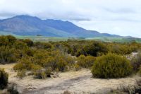 Landschaftsbild ändert sich!
