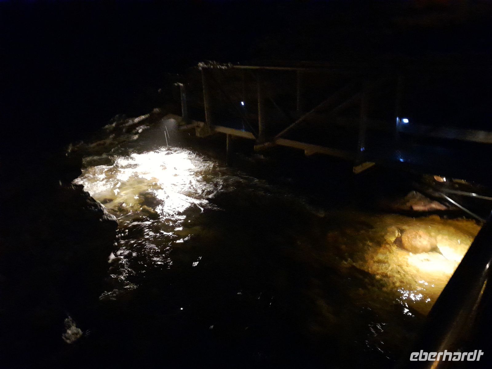 wo sind die Glühwürmchen?