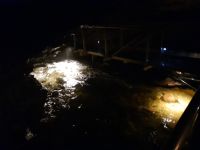 wo sind die Glühwürmchen?