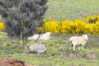 wir sind auch wieder da