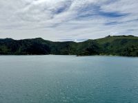 12. Reisetag – Von Wellington nach Kaikoura – Überfahrt mit der Fähre auf die Südinsel – Fahrt durch die Marlborough Sounds