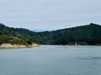12. Reisetag – Von Wellington nach Kaikoura – Überfahrt mit der Fähre auf die Südinsel – Fahrt durch die Marlborough Sounds
