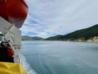 12. Reisetag – Von Wellington nach Kaikoura – Überfahrt mit der Fähre auf die Südinsel – Fahrt durch die Marlborough Sounds