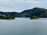 12. Reisetag – Von Wellington nach Kaikoura – Überfahrt mit der Fähre auf die Südinsel – Fahrt durch die Marlborough Sounds