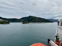 12. Reisetag – Von Wellington nach Kaikoura – Überfahrt mit der Fähre auf die Südinsel – Fahrt durch die Marlborough Sounds