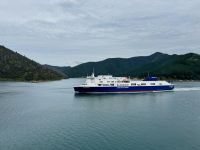 12. Reisetag – Von Wellington nach Kaikoura – Überfahrt mit der Fähre auf die Südinsel – Fahrt durch die Marlborough Sounds