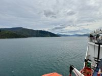 12. Reisetag – Von Wellington nach Kaikoura – Überfahrt mit der Fähre auf die Südinsel – Fahrt durch die Marlborough Sounds
