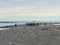 12. Reisetag – Von Wellington nach Kaikoura – Fotostopp am Kekerengu Beach