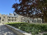 13. Reisetag – Von Kaikoura zum Lake Tekapo – Altes Unigelände in Christchurch