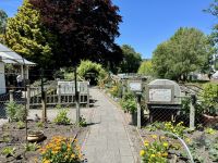 13. Reisetag – Von Kaikoura zum Lake Tekapo – Botanischer Garten in Christchurch