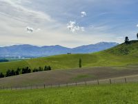 13. Reisetag – Von Kaikoura zum Lake Tekapo – Fotostopp am MacKenzie Country