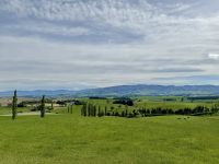 13. Reisetag – Von Kaikoura zum Lake Tekapo – Fotostopp am MacKenzie Country