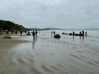 14. Reisetag – Vom Lake Tekapo nach Dunedin – Besuch der Moeraki Boulders