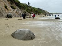 14. Reisetag – Vom Lake Tekapo nach Dunedin – Besuch der Moeraki Boulders