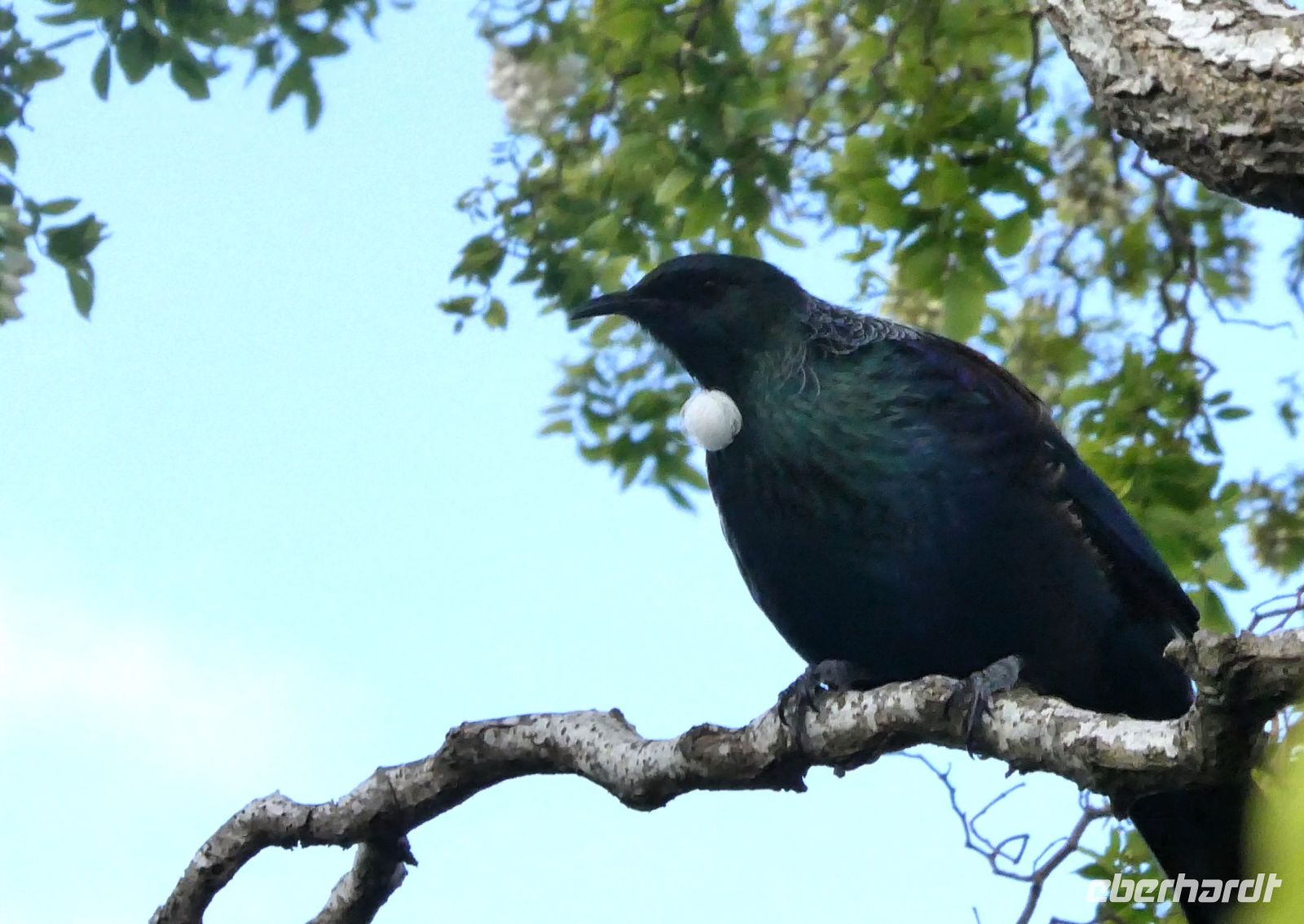 von der Seite betrachtet