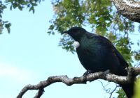 von der Seite betrachtet