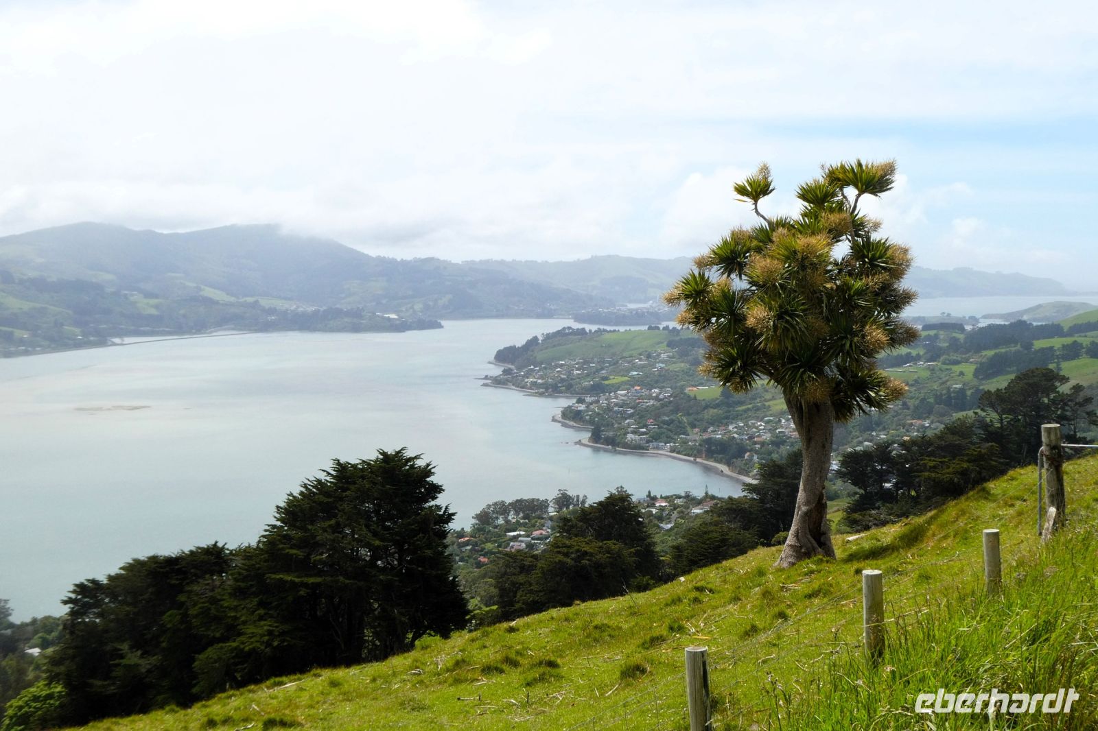 auf dem Weg nach Dunedin