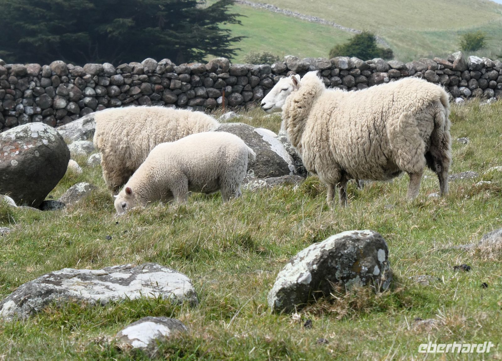 wir haben noch ein warmes Kleid
