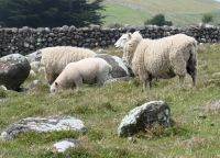 wir haben noch ein warmes Kleid